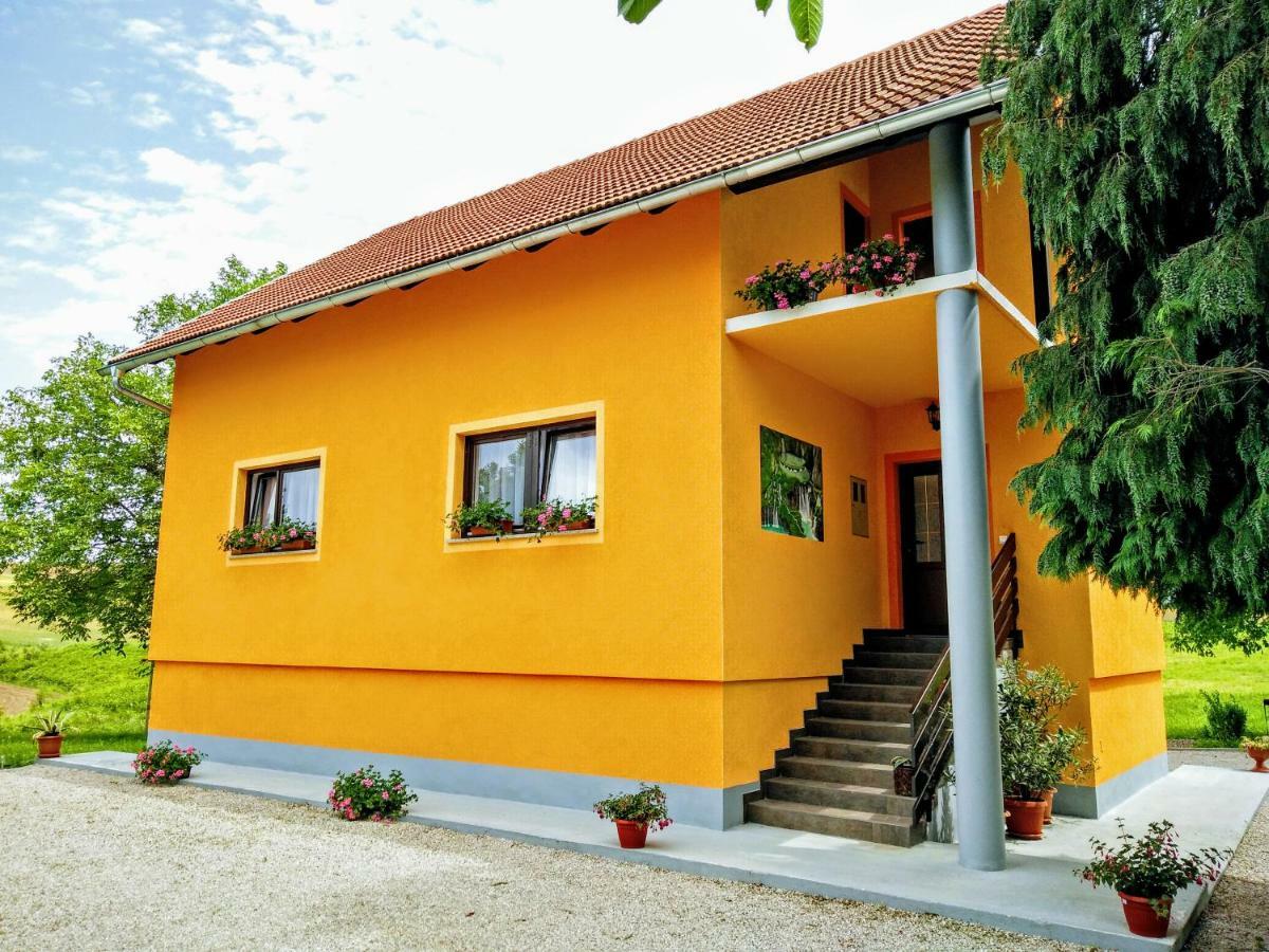 House Naomi Apartment Grabovac  Exterior photo